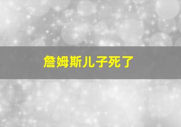 詹姆斯儿子死了