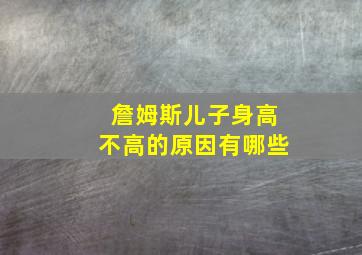 詹姆斯儿子身高不高的原因有哪些