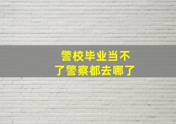 警校毕业当不了警察都去哪了