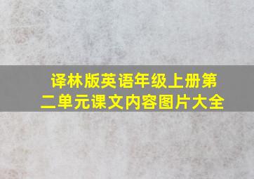 译林版英语年级上册第二单元课文内容图片大全