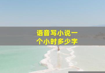 语音写小说一个小时多少字