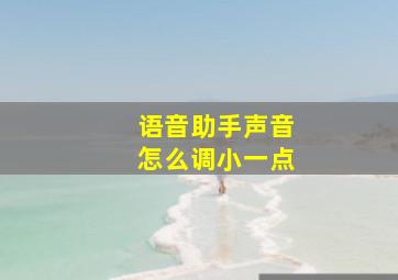 语音助手声音怎么调小一点