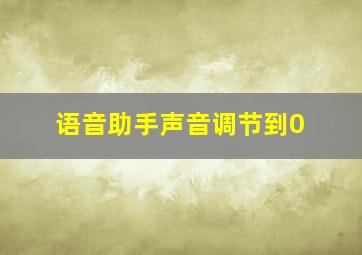 语音助手声音调节到0