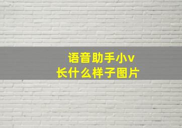 语音助手小v长什么样子图片