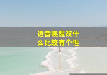 语音唤醒改什么比较有个性