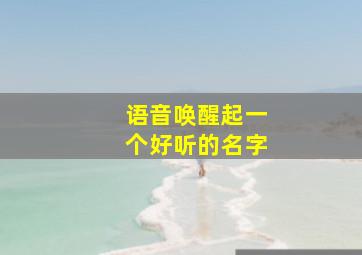 语音唤醒起一个好听的名字