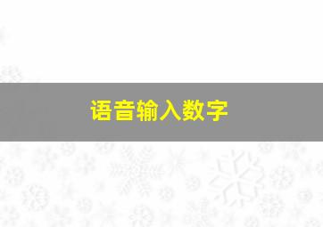 语音输入数字