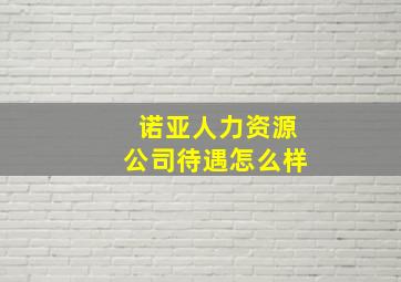 诺亚人力资源公司待遇怎么样