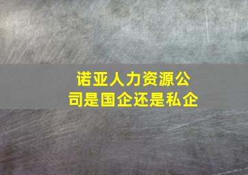 诺亚人力资源公司是国企还是私企