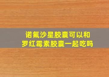 诺氟沙星胶囊可以和罗红霉素胶囊一起吃吗