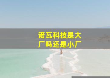 诺瓦科技是大厂吗还是小厂