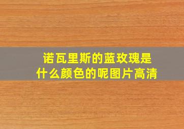 诺瓦里斯的蓝玫瑰是什么颜色的呢图片高清