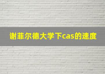 谢菲尔德大学下cas的速度