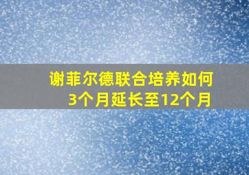 谢菲尔德联合培养如何3个月延长至12个月