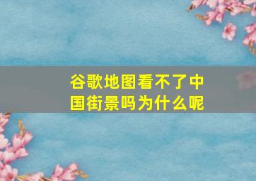 谷歌地图看不了中国街景吗为什么呢