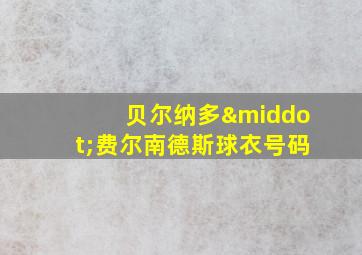 贝尔纳多·费尔南德斯球衣号码