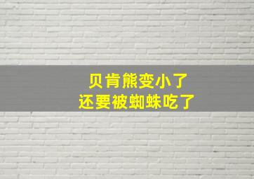 贝肯熊变小了还要被蜘蛛吃了