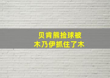 贝肯熊捡球被木乃伊抓住了木