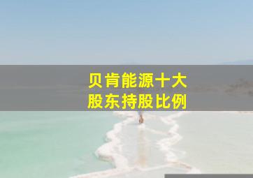 贝肯能源十大股东持股比例