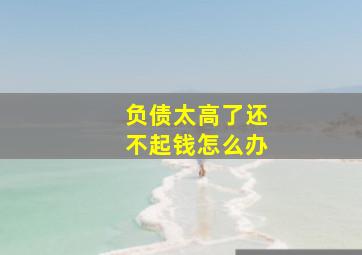 负债太高了还不起钱怎么办