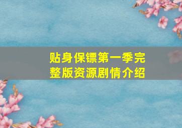 贴身保镖第一季完整版资源剧情介绍