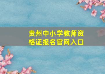 贵州中小学教师资格证报名官网入口