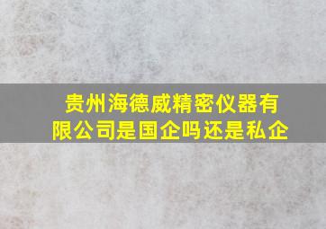 贵州海德威精密仪器有限公司是国企吗还是私企