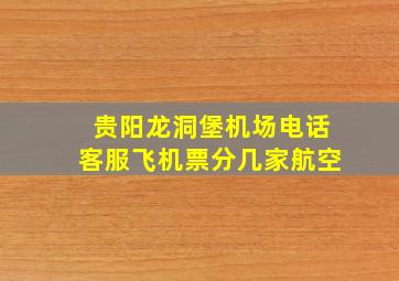 贵阳龙洞堡机场电话客服飞机票分几家航空