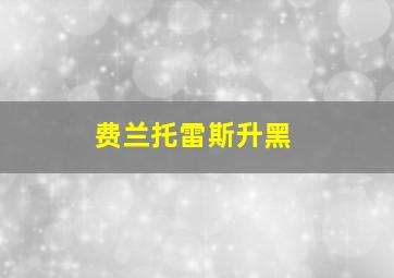 费兰托雷斯升黑