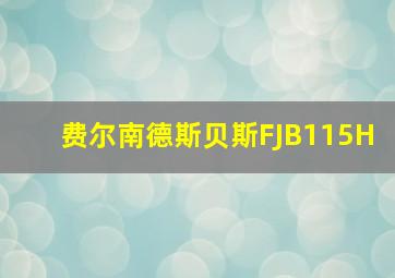 费尔南德斯贝斯FJB115H