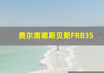 费尔南德斯贝斯FRB35