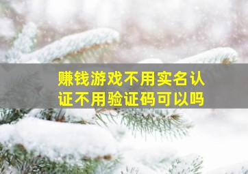 赚钱游戏不用实名认证不用验证码可以吗