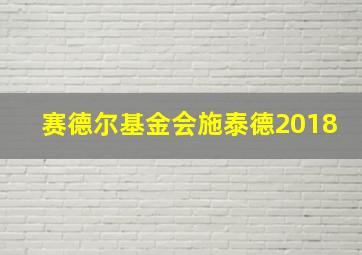 赛德尔基金会施泰德2018