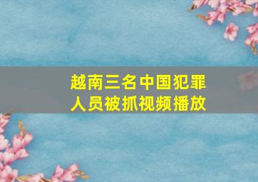 越南三名中国犯罪人员被抓视频播放