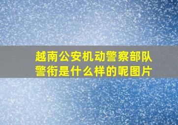 越南公安机动警察部队警衔是什么样的呢图片