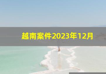 越南案件2023年12月