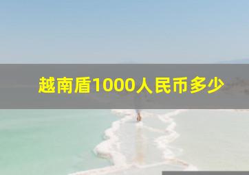 越南盾1000人民币多少