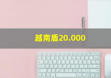 越南盾20.000