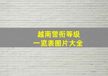 越南警衔等级一览表图片大全