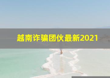 越南诈骗团伙最新2021