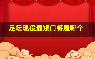 足坛现役最矮门将是哪个