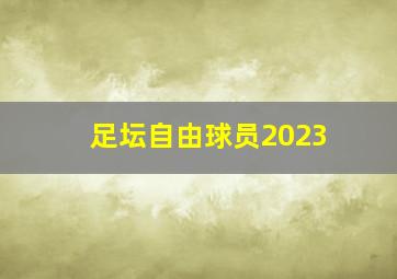 足坛自由球员2023