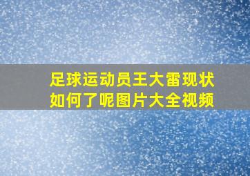 足球运动员王大雷现状如何了呢图片大全视频