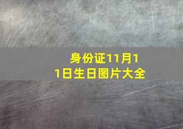 身份证11月11日生日图片大全