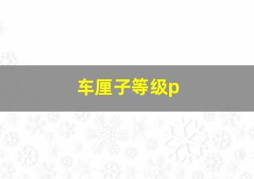 车厘子等级p