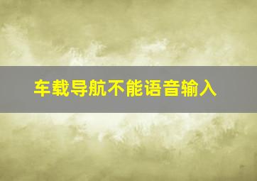 车载导航不能语音输入