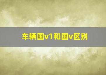 车辆国v1和国v区别