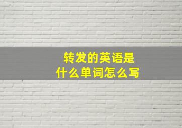 转发的英语是什么单词怎么写