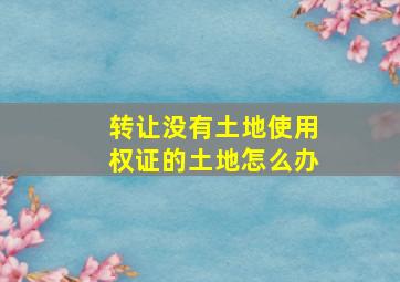 转让没有土地使用权证的土地怎么办