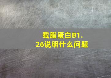 载脂蛋白B1.26说明什么问题